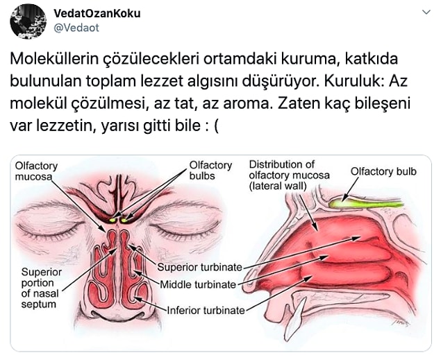 16.