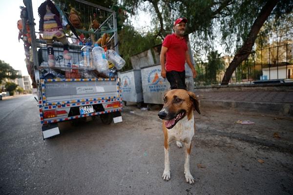 "Düldül" adını verdiği sepetli motosikleti ve sokakta bulup sahiplendiği "Garip" adlı köpeğiyle çöp konteynerlerinden karton topluyor.