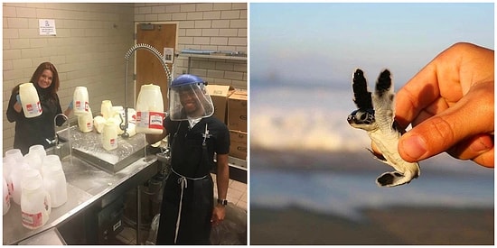 Dünya Her Gün Başka Bir Felaketle Boğuşurken Gezegenimizi Kurtarmak İçin Güzel Şeyler Yapanlar da Var!