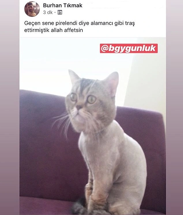 Şaşkın.