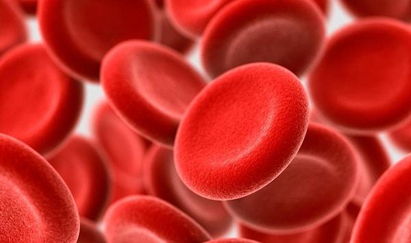15. Kırmızı bir kan hücresinin tüm vücudunuzu dolanması yaklaşık 20 saniye sürer.