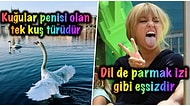 Etkilemek İstediğiniz İnsanla Muhabbet Ederken Araya Sıkıştırdığınız Zaman Havanıza Hava Katacak Kısa ve Eğlenceli 15 Bilgi
