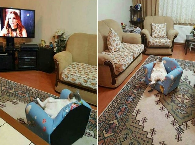 2. Sade soda da var mıydı?