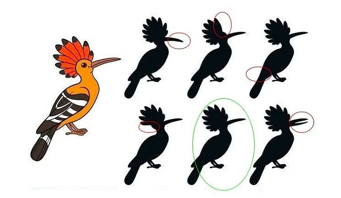 Тест: Мало кому удается решить эту задачку меньше, чем за минуту. Хотите попробовать?