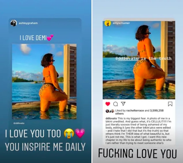 Demi Lovato'nun paylaştığı fotoğraf kısa sürece milyonlarca beğeni aldı ve Ashley Graham ve Amy Schumer gibi ünlü isimlerden de destek aldı.