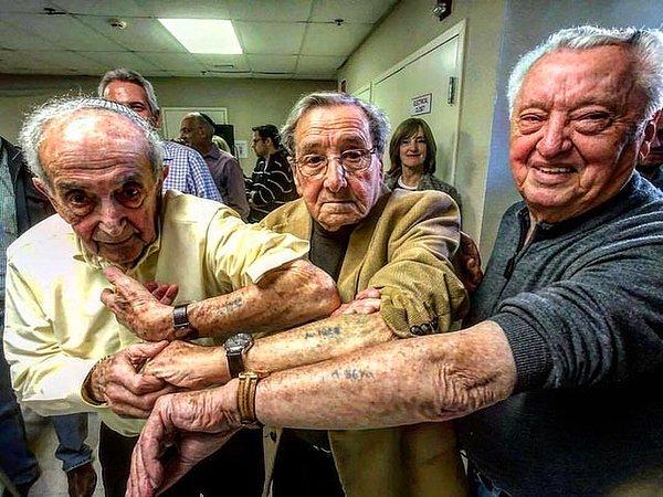 3. Auschwitz'den kurtulan bu 3 adam, 72 yıl sonra bir araya geldi ve toplama kampındayken onlara yapılan dövmeleri gösterdi.
