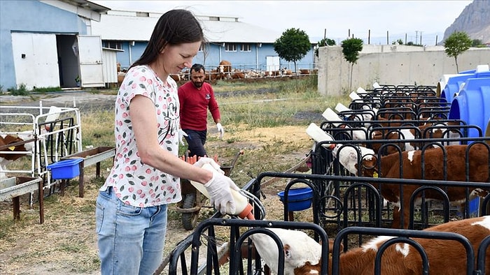 'Sonunda Hayalimi Gerçekleştirdim': Muhasebecilik Yapmaktan Sıkılan Avustralyalı Kadın, Ağrı'ya Gelip Çiftlikte Çalışmaya Başladı