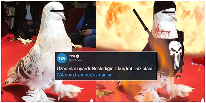 Görünce "Ben Ne Okudum Şimdi?" Dedirtecek Birbirinden Garip 15 Uzman Uyarısı ve Araştırması