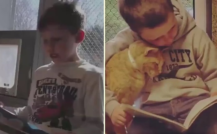 Çocukların Barınaktaki Hayvanlara Gönüllü Olarak Kitap Okuduğu Proje: Kitap Dostları