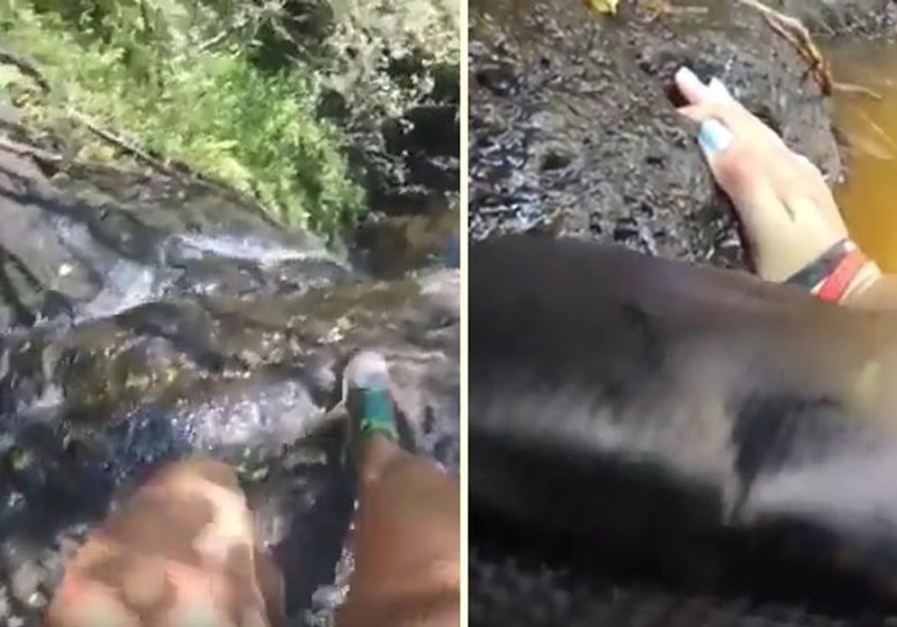 Uçurumdan Düşüşünü Aksiyon Kamerasıyla Kaydeden Kadının Korku Dolu Anları!