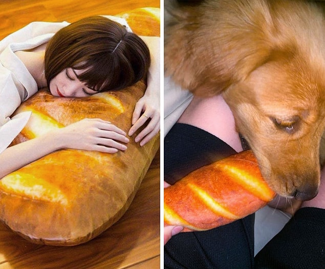5. En azından köpeğin yeni bir oyuncağı var.