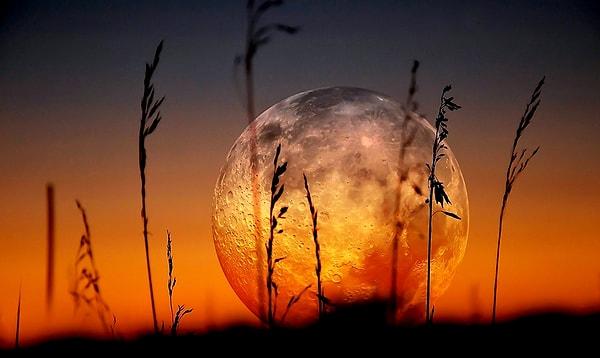 NASA'ya göre dolunayı yaklaşık üç gün boyunca akşam saatlerinde gözlemlemek mümkün olacak. Perşembe gece yarısında başlayan dolunay, pazar sabahına dek sürecek.