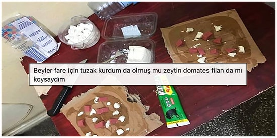 Bazı Şeyleri Gerçekten Fazlaca Abarttığımızı Kanıtlayacak Görünce Anlam Veremeyeceğiniz 15 Kare