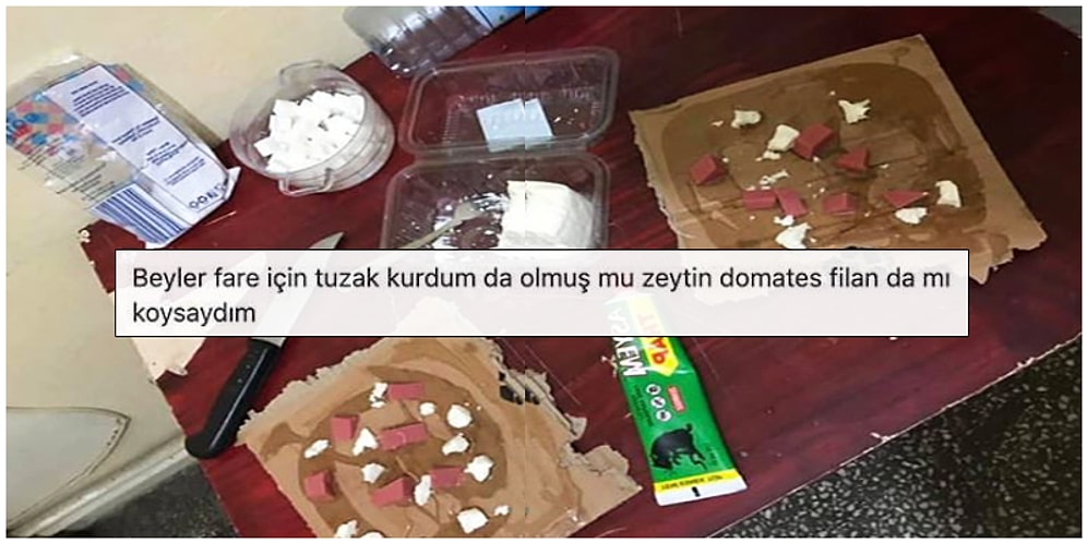 Bazı Şeyleri Gerçekten Fazlaca Abarttığımızı Kanıtlayacak Görünce Anlam Veremeyeceğiniz 15 Kare