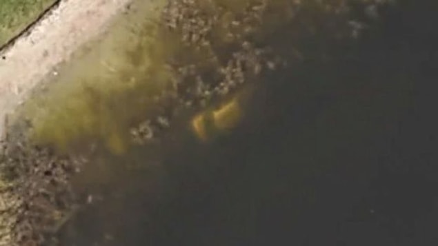 Arazinin yeni sahibi kendi drone'uyla da gölde bir araba olduğunu görüntüleyince durumu polise bildirdi.