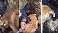 Çöken Evin Enkazında Kalan Yavruları İçin Görevlilerle Birlikte Seferber Olan Anne Köpek!