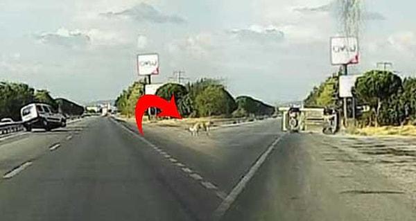 Balıkesir - İzmir yolunun 2. kilometresinde meydana gelen kaza, başka bir sürücünün araç kamerasına anbean yansıdı.