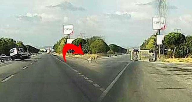 Balıkesir - İzmir yolunun 2. kilometresinde meydana gelen kaza, başka bir sürücünün araç kamerasına anbean yansıdı.