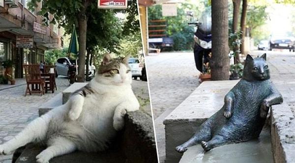 1. Kadıköy'ün fenomen kedisi Tombili'nin mekanın sahibi benim dercesine kaldırımdaki bu oturuşunu unutmak mümkün mü? Bu güzel heykel Ziverbey'de. Bir çay alıp oturun yanına :)