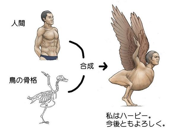 6. Yunan Mitolojisinde "Harphy" denilen yarı insan yarı kuş canavarların iskelet yapısı insan vücuduna uyarlandığında: