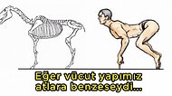 Japon Sanatçı Satoshi Kawasaki'nin İnsanlar ve Hayvanların İskelet Yapılarını Karşılaştırdığı İllüstrasyonlar Sizi Çok Şaşırtacak!