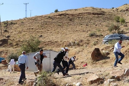 Verimli Bal Sezonu Sonrasında Şükür Duasına Çıktılar: Arıların Saldırısından Zor Kurtuldular