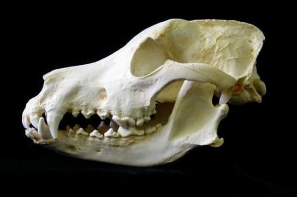 8. Есть предположения?