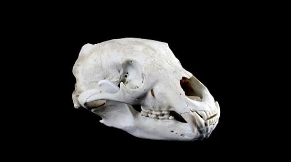 6. Как думаете?