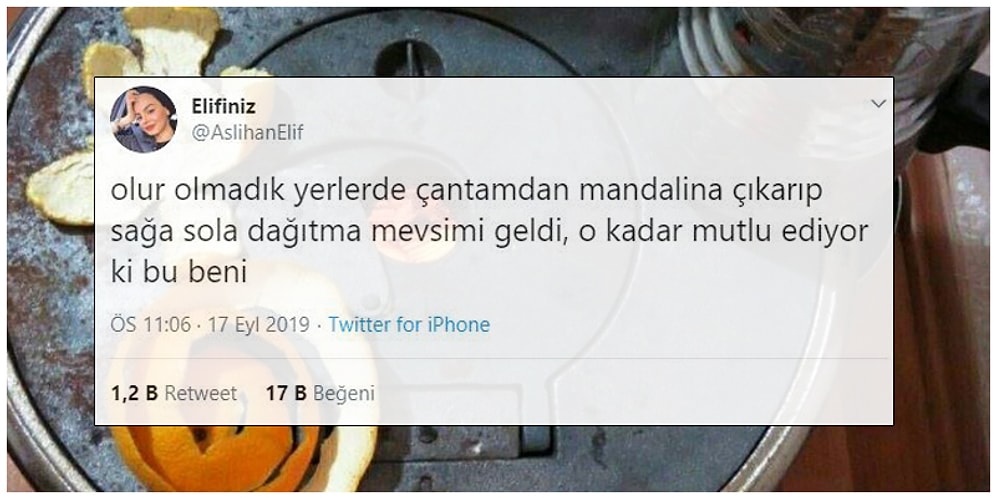 Havaların Soğumaya Başlamasıyla "Kışçılar" ve "Yazcılar" Olarak İkiye Ayrılan Goygoyculardan 17 Paylaşım