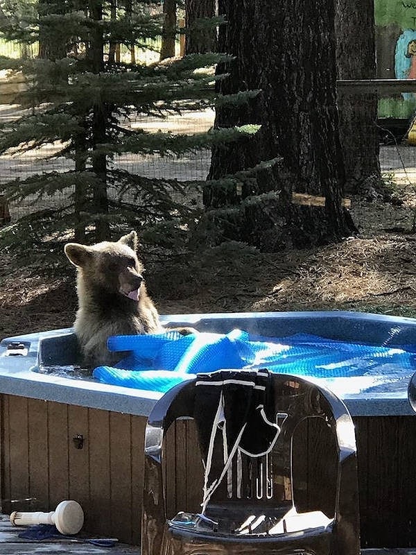 2. А кто не любит джакузи в этом мире?