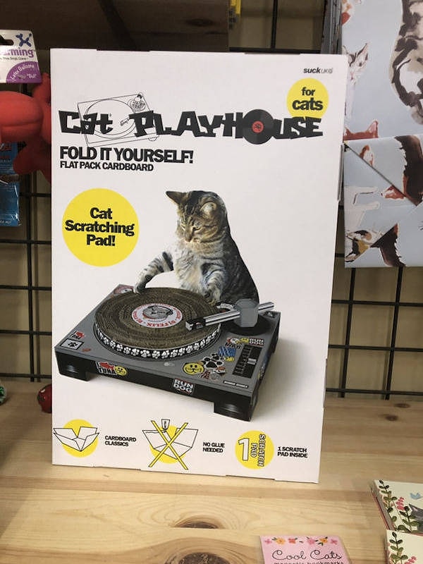 3. А ваша кошка хотела бы стать диджеем?