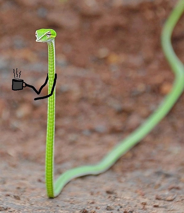 3. "Жить не могу без утреннего кофе"