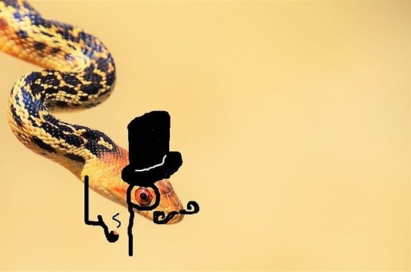 22. Если бы среди змей были сэры