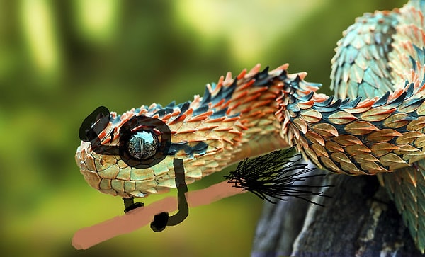 29. Гарри Змейкер