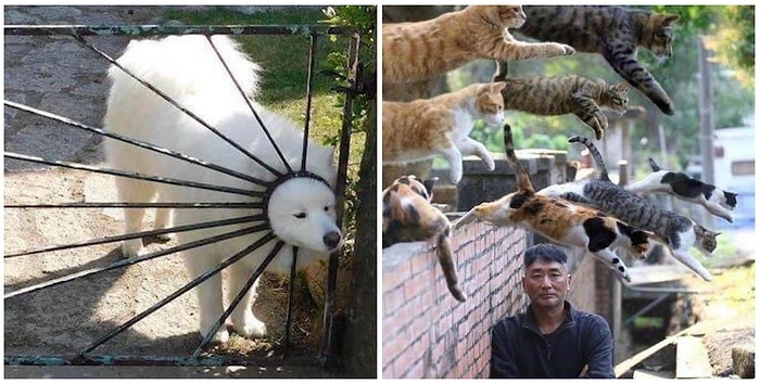 45 ситуаций, которые вы вряд ли когда-либо увидите в жизни