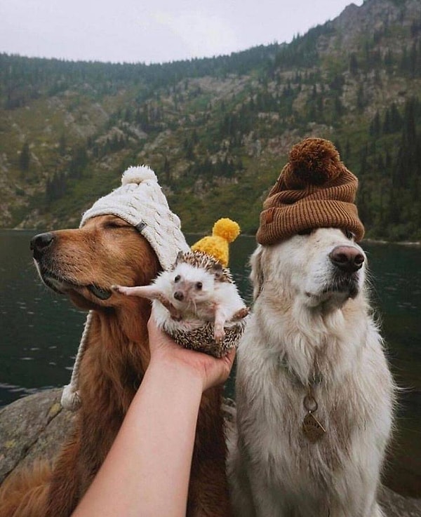 3. И больше ничего не надо!