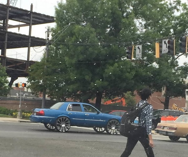 4. И это тоже