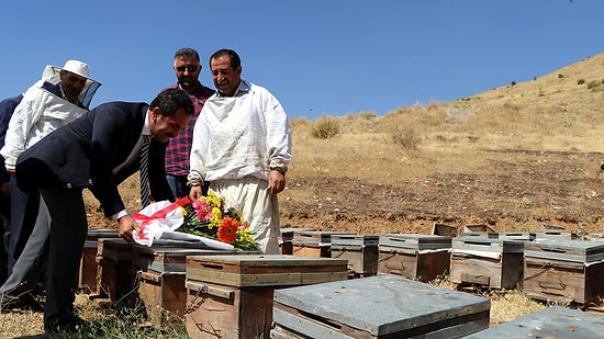 Protokol, Dua Sırasında Saldıran Arıların Kovanına Çiçek Bıraktı: 'Ne Olursa Olsun Bizler Arılarımıza Minnettarız'