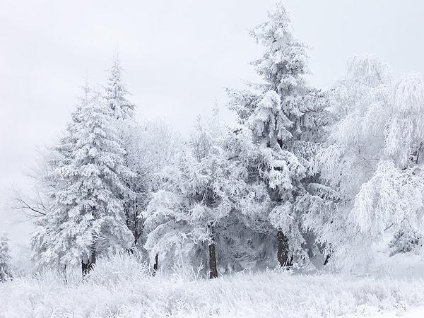 Rüyada Kar Yağdığını Görmek