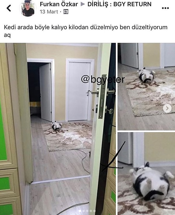 5. Kaplumbağalar gibi.