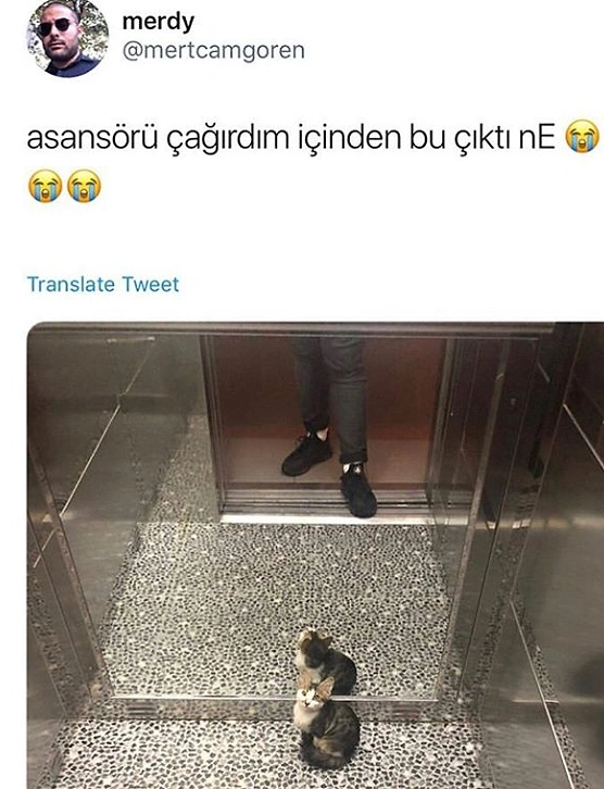 Sürprizli.
