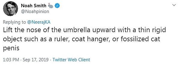 #8 "Şemsiyenin ucunu ince ve sert bir şeyle mesela cetvel, askı veya fosilleşmiş kedi penisiyle yukarı kaldırın. "