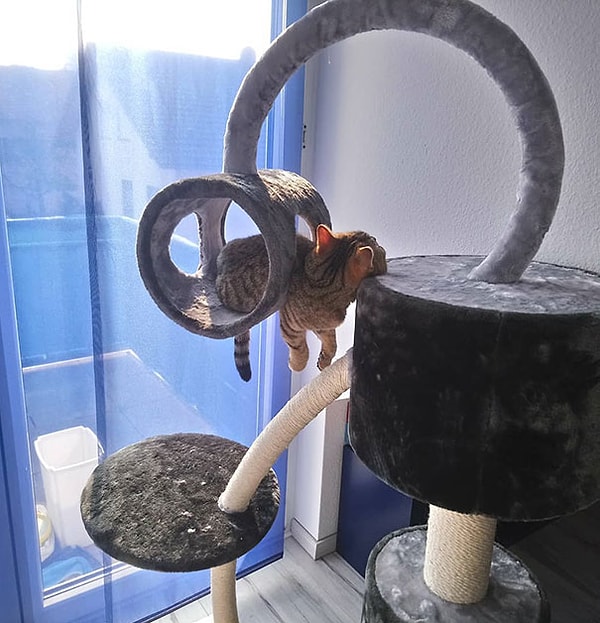 25. Есть идеи, как ей удается так спать?