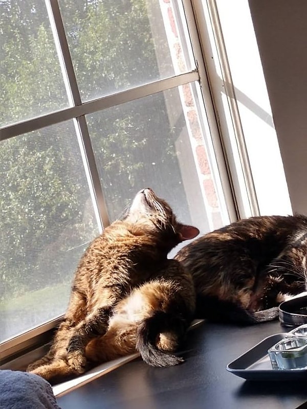 49. И позиции выбирают не самые комфортные....