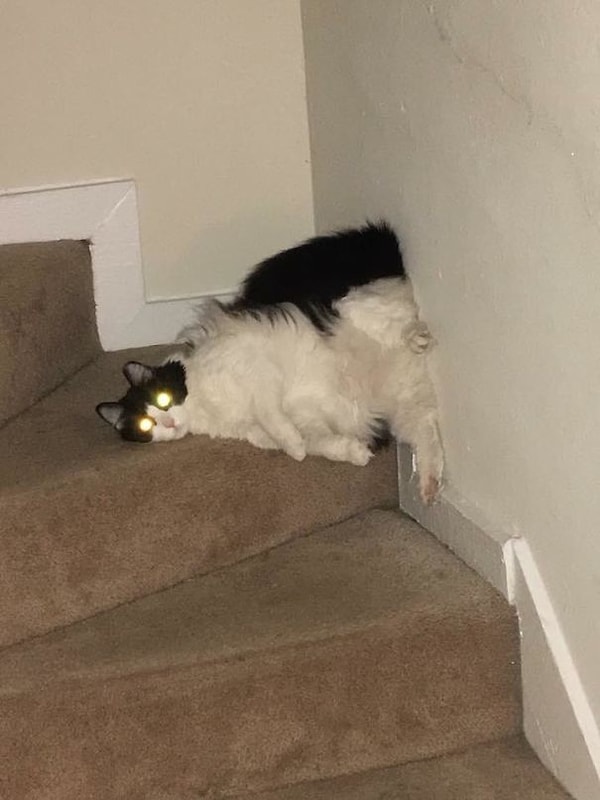 50. Но это мы их и любим :)