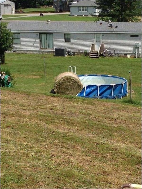 3. Сено, да чтоб тебя!