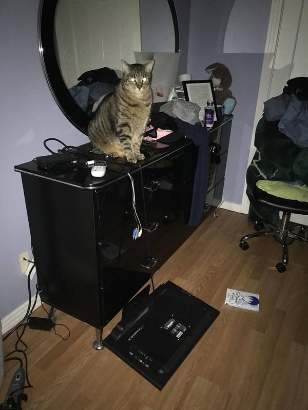 10. Похоже, ему даже не стыдно