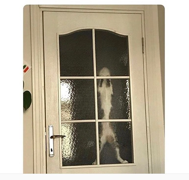 "Nolur beni de alın aranıza..."