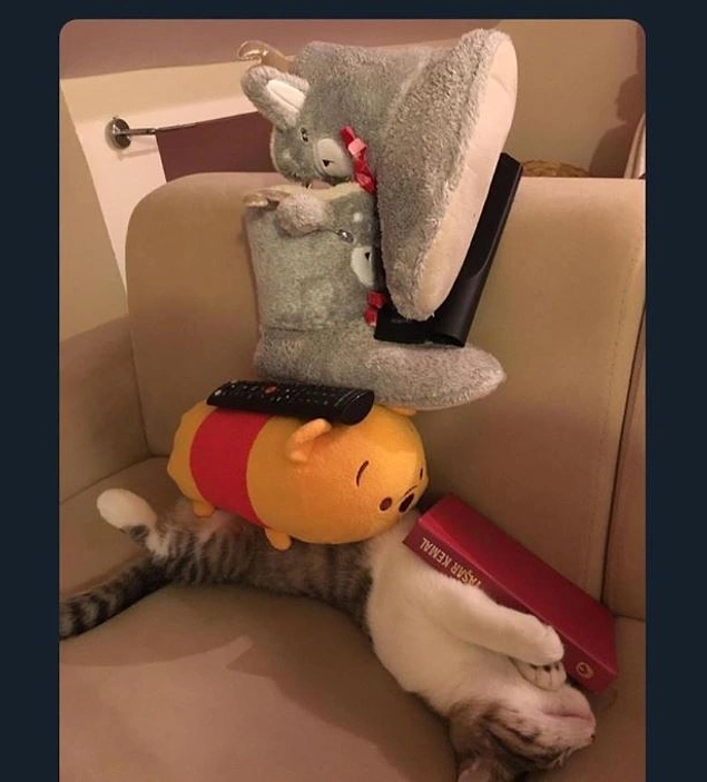 Rahatını hiçbir şey bozamaz. :)