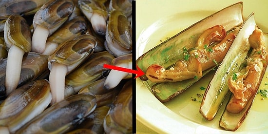 Bazılarının Ayıla Bayıla Yediği Bir Garip Canlı Sülünezle Tanışmış mıydınız?